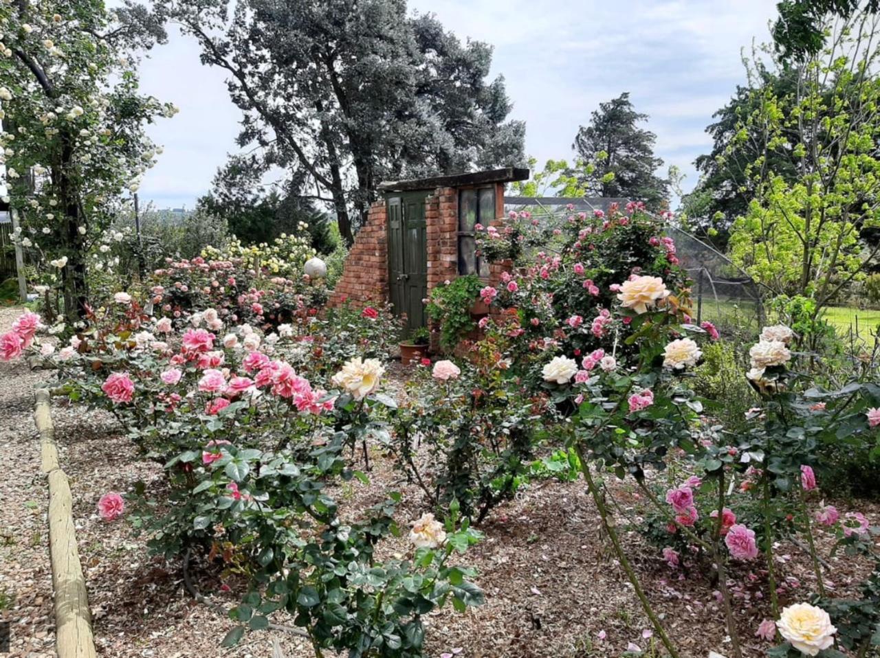 Ama Casa Cottages Champagne Valley Экстерьер фото